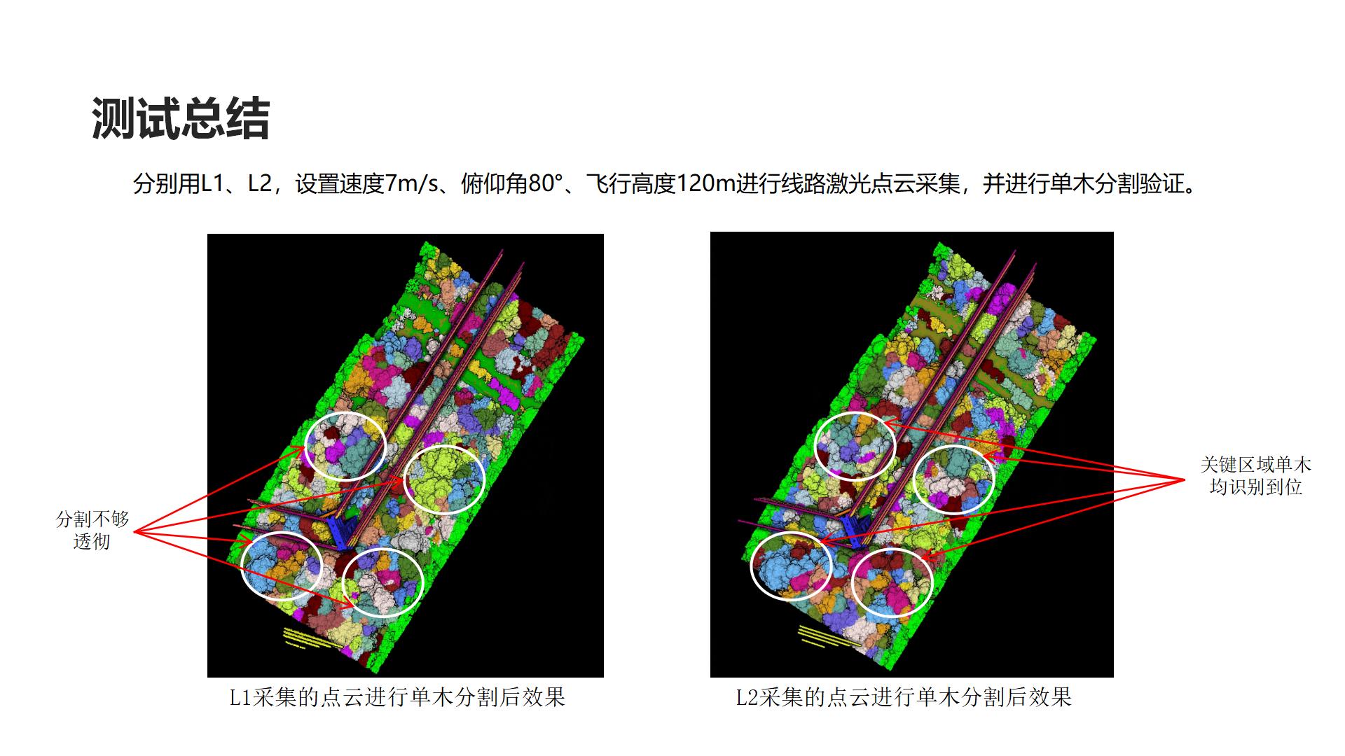 廣州中科智云科技有限公司+云南+L2在單木分割的分析應用_05.jpg