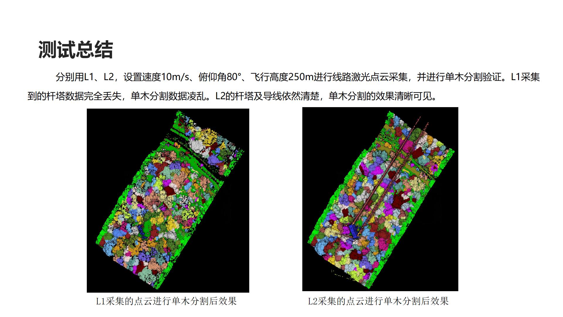 廣州中科智云科技有限公司+云南+L2在單木分割的分析應用_08.jpg